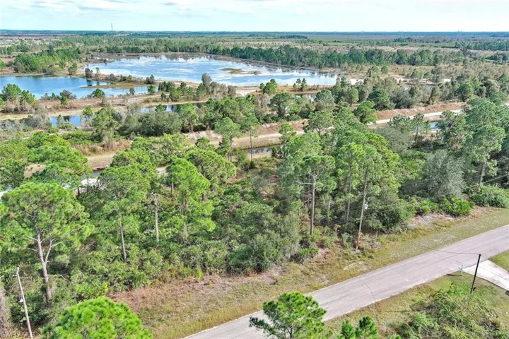 Aerial view of a heavily wooded area