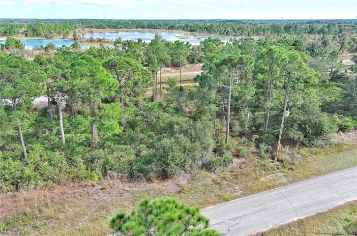 Aerial view of a heavily wooded area