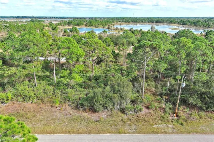 Drone / aerial view of a forest