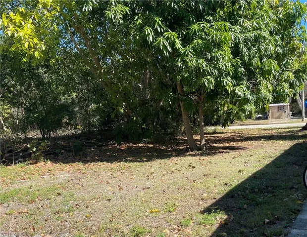 View of green lawn