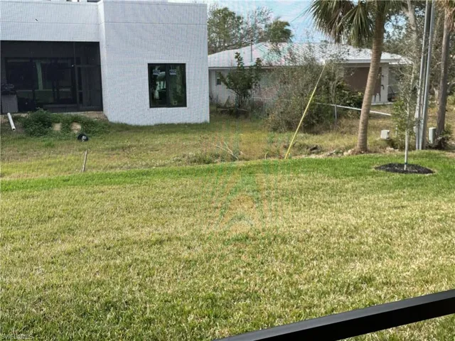 View of backyard
