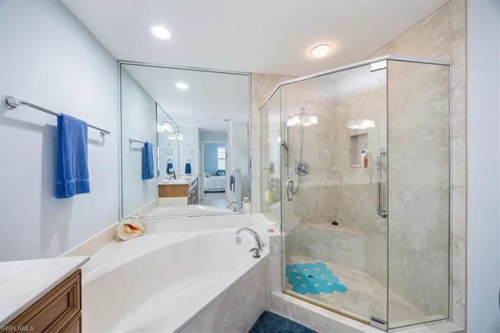 Bathroom with separate shower and tub and vanity
