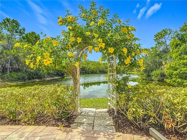 Water view