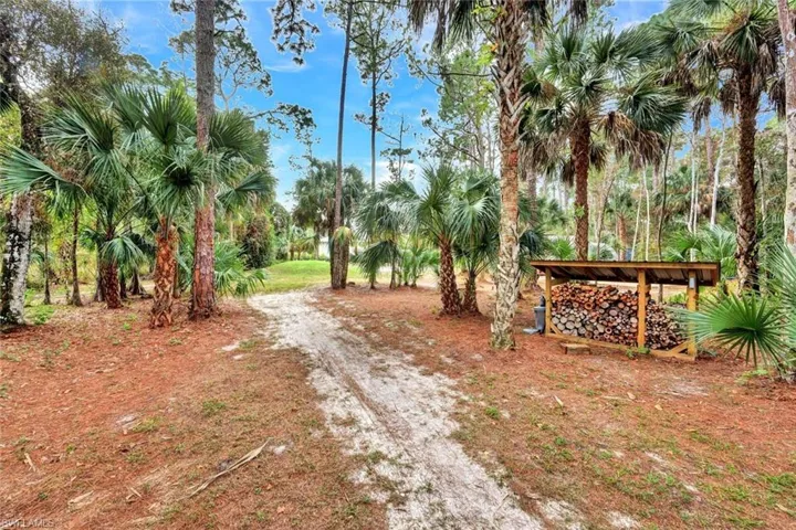 View of dirt / gravel road