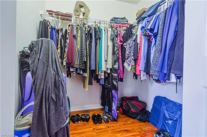 Spacious closet with hardwood / wood-style flooring
