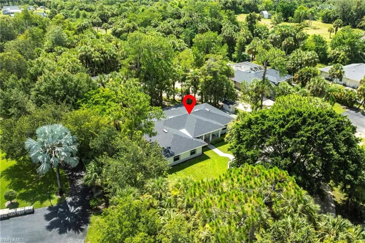 Bird's eye view of a forest