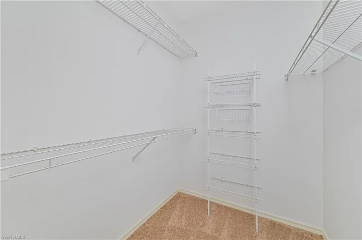 Spacious closet featuring light carpet