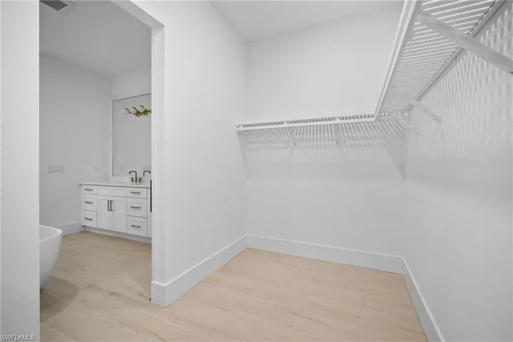 Spacious closet featuring sink and light hardwood / wood-style flooring