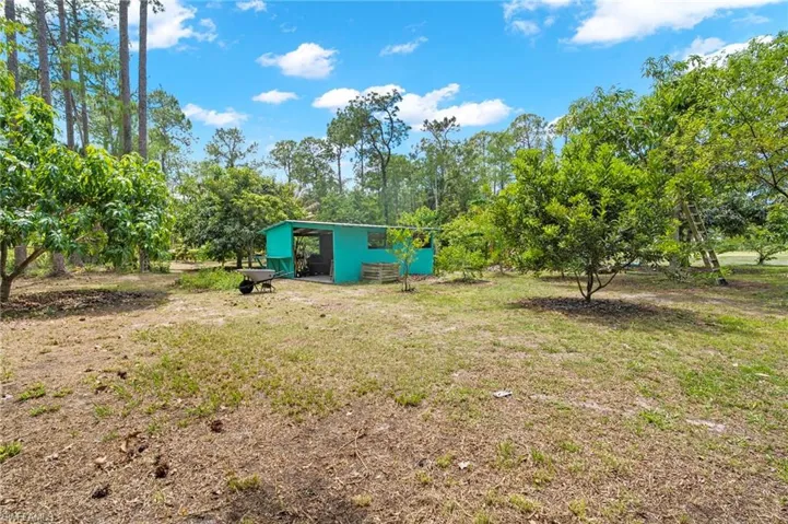 Spacious exterior featuring a teal utility shed, mature trees, and natural landscaping