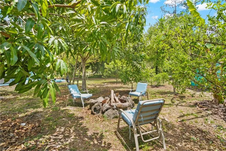 Lush backyard featuring mature trees, a designated fire pit area, and natural ground cover