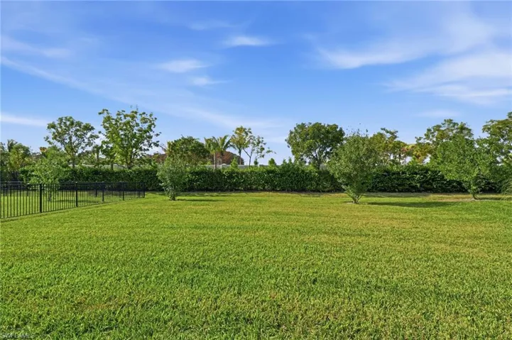 View of fenced backyard