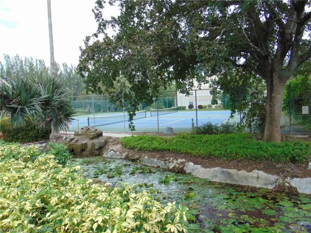 Lily Pond view from pool area to tennis courts