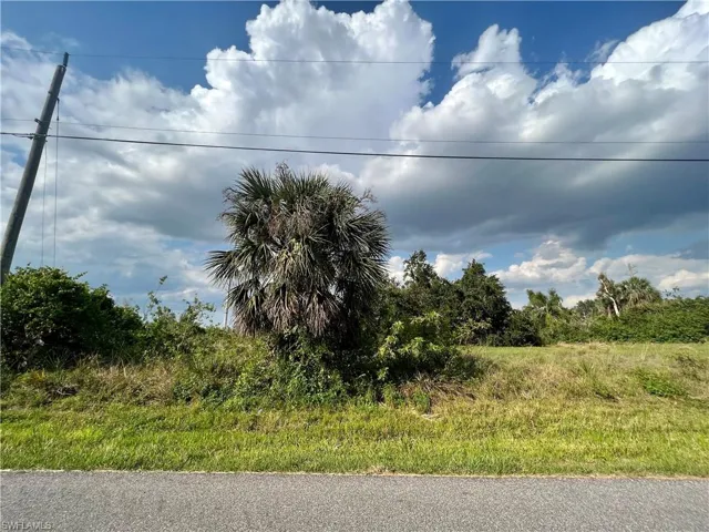 View of local wilderness