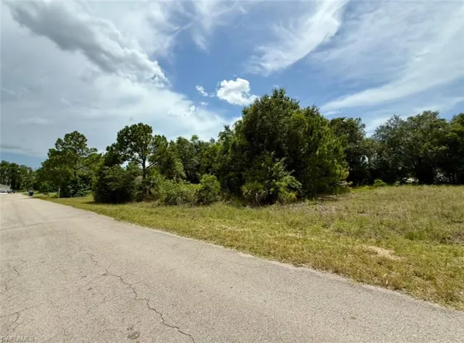 Expansive undeveloped lot featuring a mix of mature trees and open grassy areas, bordered by a paved road