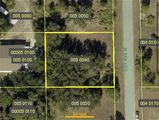 GIS Parcel Map. Illustrating property boundaries and identification numbers for the property
