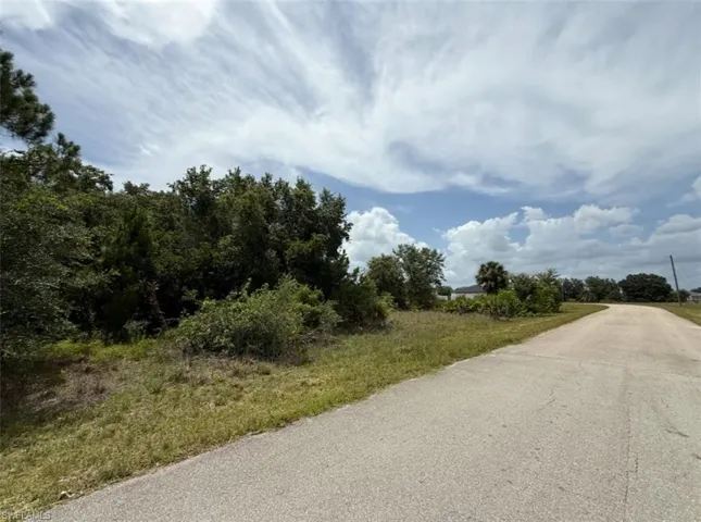 Grassy parcel featuring mature trees and a paved road frontage