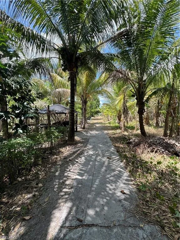 931 16th AVE, Naples, FL 34117,225048468