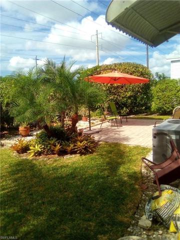 Back yard view