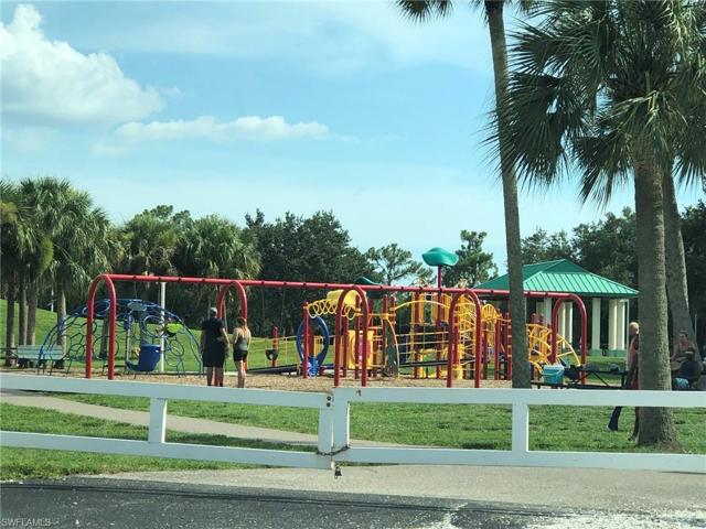 What Fun - Playground For Family Fun