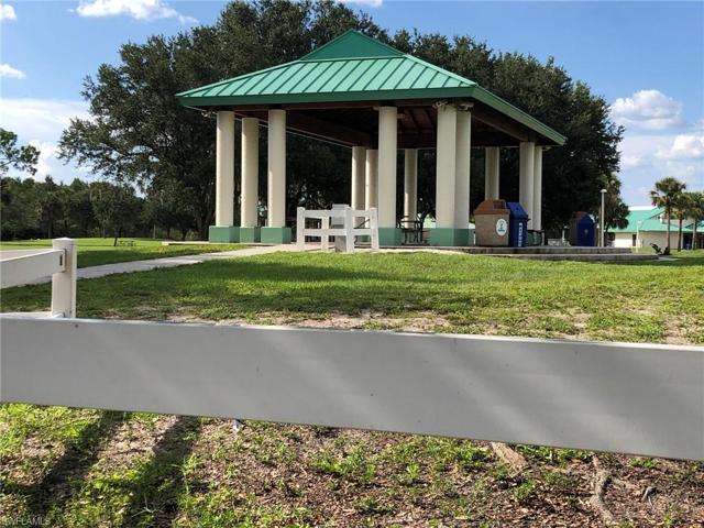 Veterans Park Picnic Pavillions