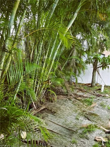 Arecas fence