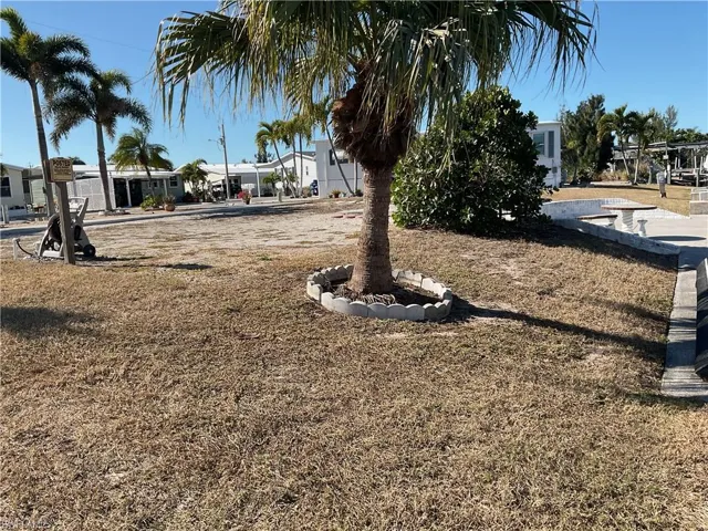View of lawn & Palms