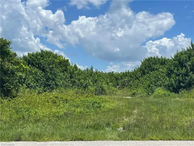 View of local wilderness