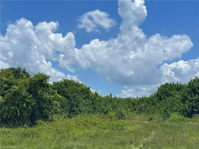 View of nature