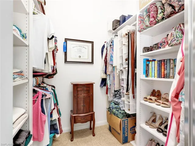 Spacious closet featuring light carpet