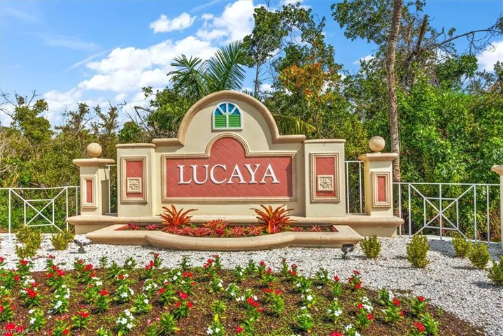 LUCAYA community