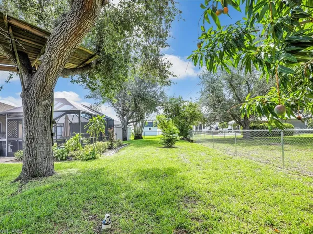 View of Backyard with mature Oak trees-Mango