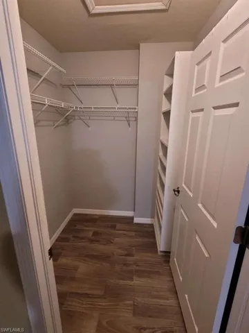 Spacious closet with dark wood-type flooring