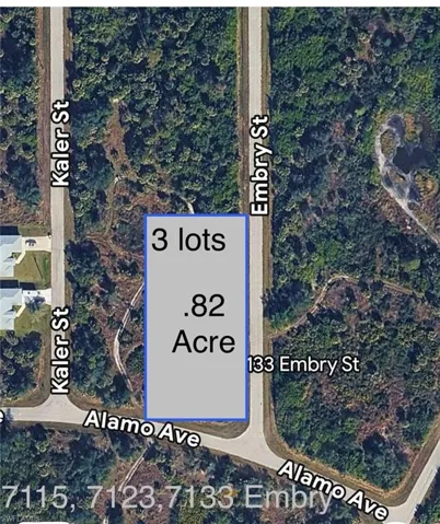 7133 Embry St, Port Charlotte, Florida 33981
