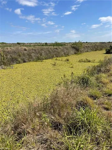 View of local wilderness with a rural view