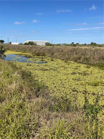 View of local wilderness with a water view