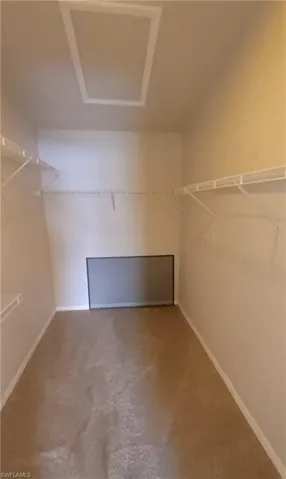 Spacious closet featuring carpet flooring