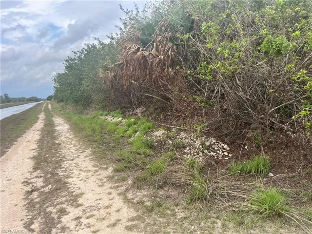 View of road