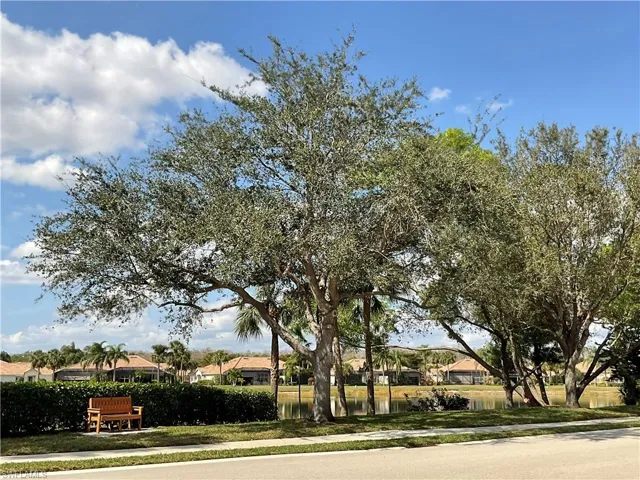Community Lake with sidewalk and bench to enjoy the peaceful view.