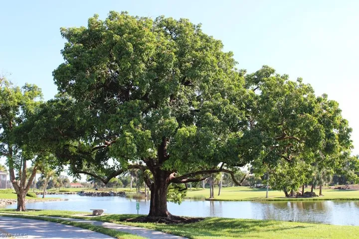 Community grounds