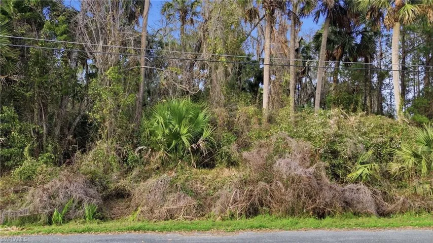 Fox  RD, Astor, FL 32102
