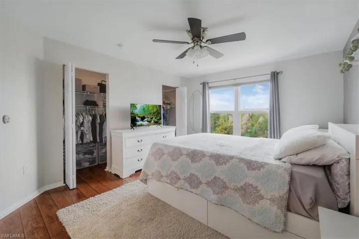 Bedroom featuring a spacious closet, ceiling fan, dark hardwood / wood-style floors, and a closet