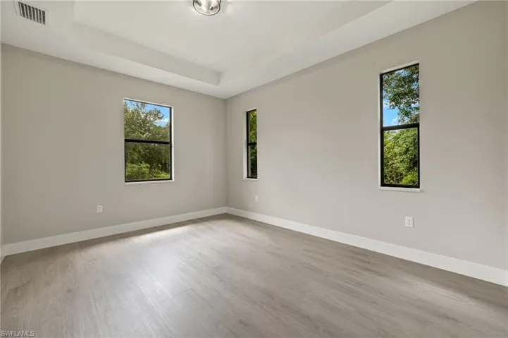 Spare room with light wood-type flooring, a raised ceiling, and a healthy amount of sunlight