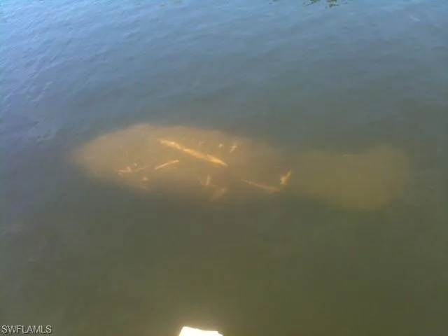 Property view of water  and Mantee in canal behind home