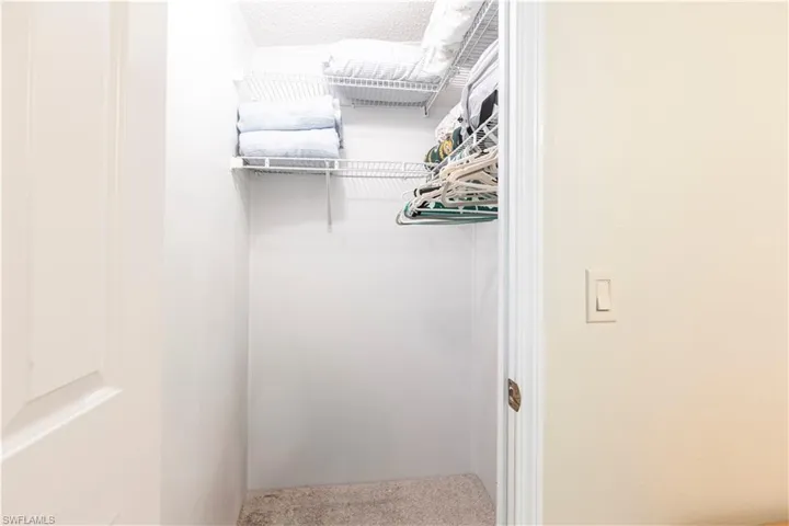 Spacious closet with carpet flooring