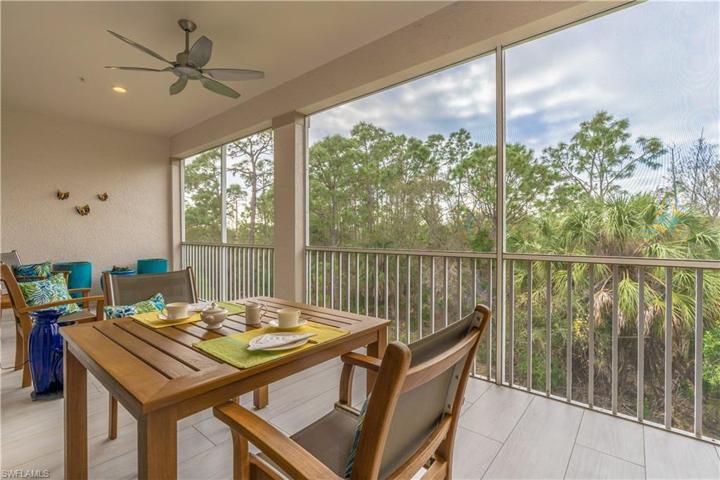 Serene preserve view with Western Exposure