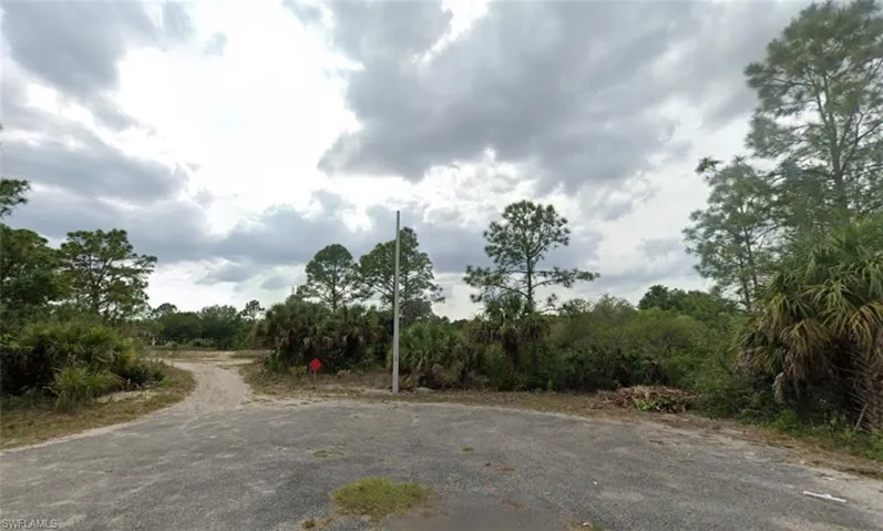 View of asphalt street with a view of trees and electric pole