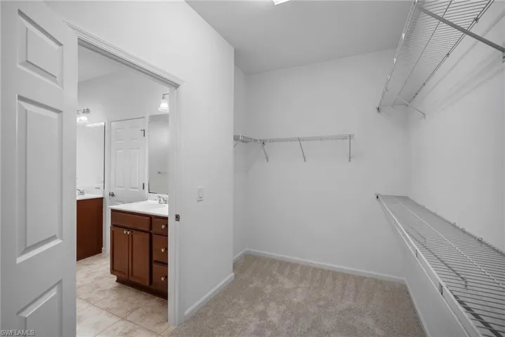 Spacious closet featuring sink and light carpet
