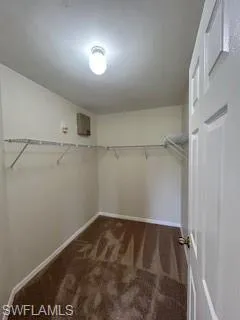 Walk in closet with carpet flooring