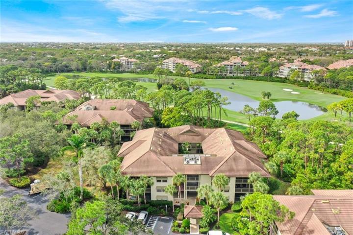 Aerial View - Wild Pines