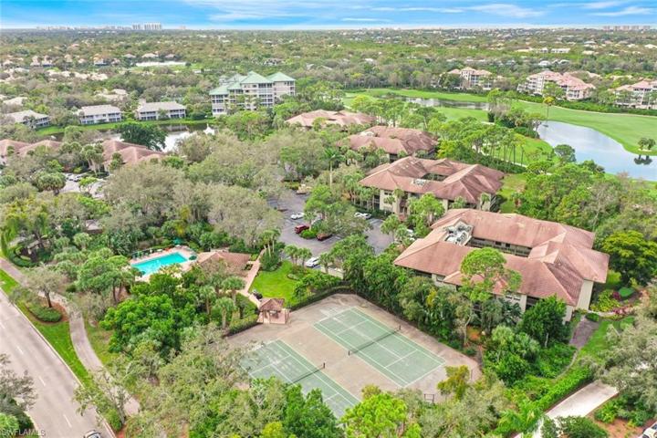 Aerial of Wild Pines